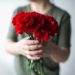 カーネーションの花束